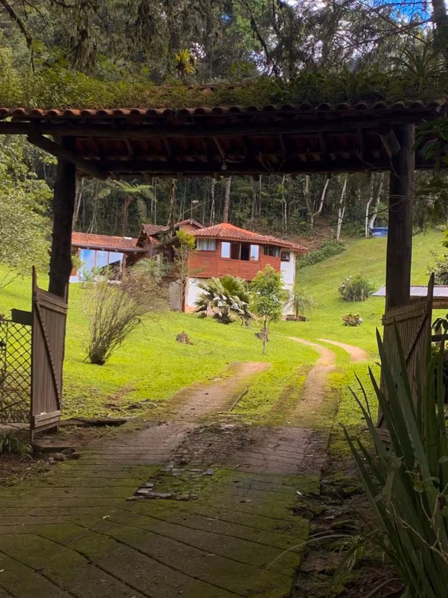 Entrada arborizada da Casa Mauá no Vale do Pavão